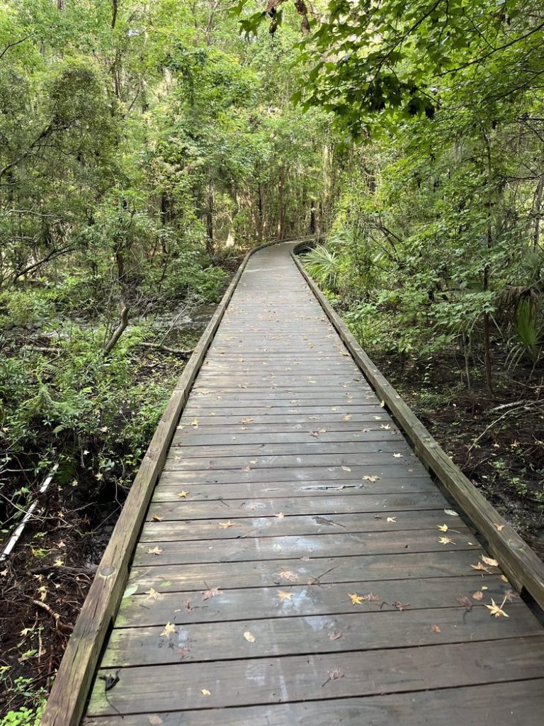 Boardwalk at Jarvis Creek Park