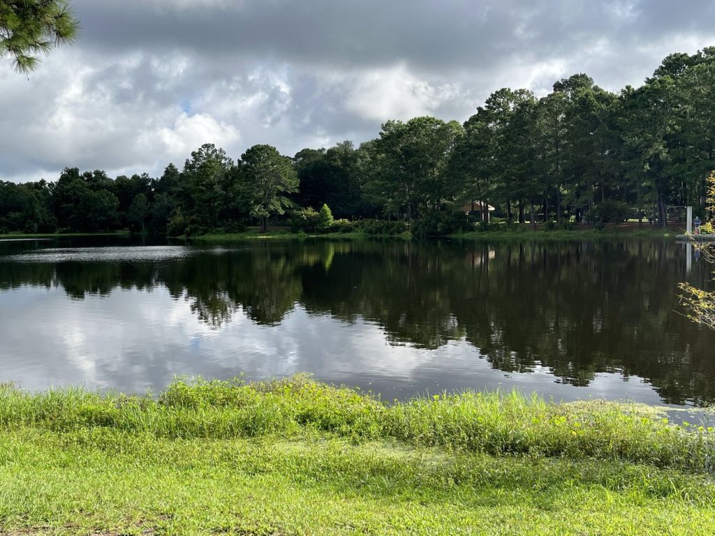 Jarvis Creek Lake at Jarvis Creek Park