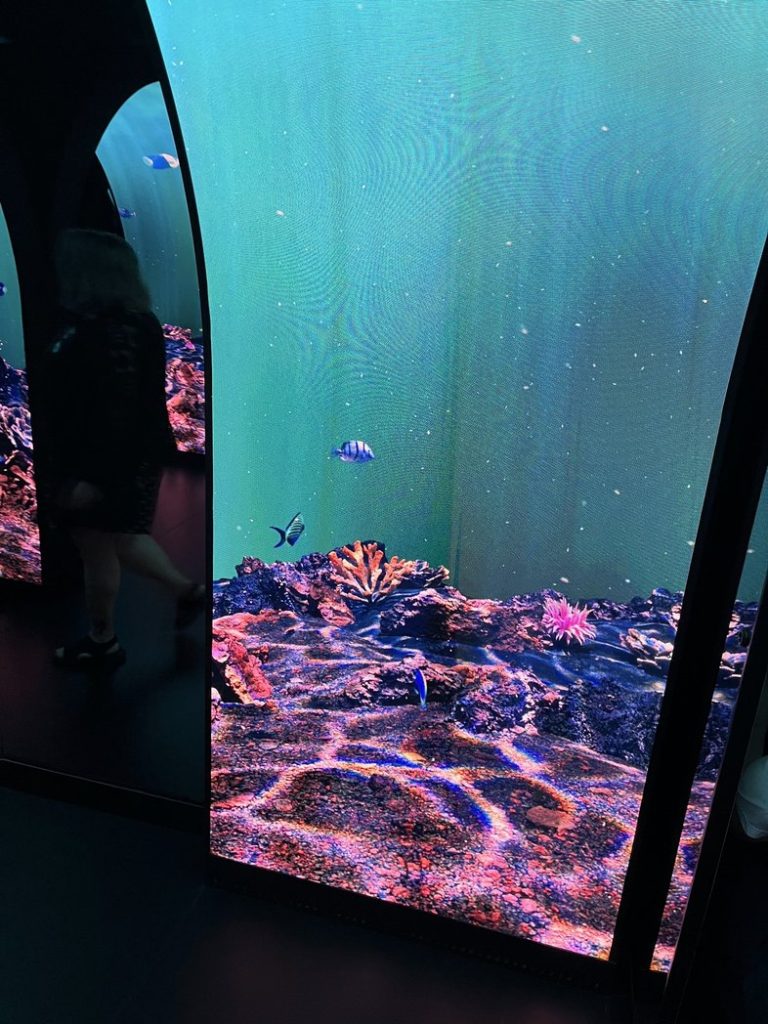 Tunnel to the Bazaar - Aqua Day