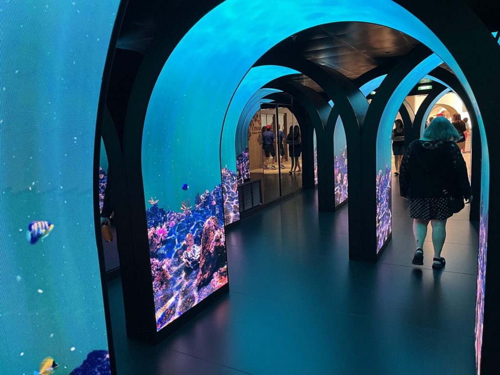 Tunnel to the Bazaar - Aqua Day 2