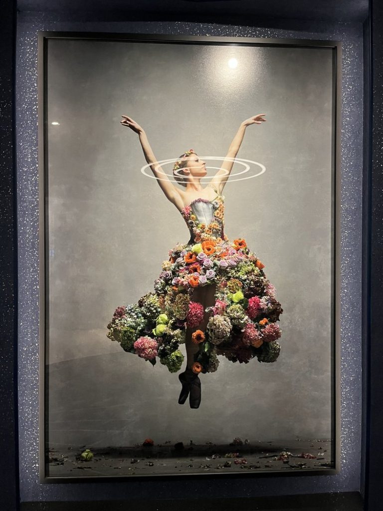 Celebrity Xcel Art - Dancer