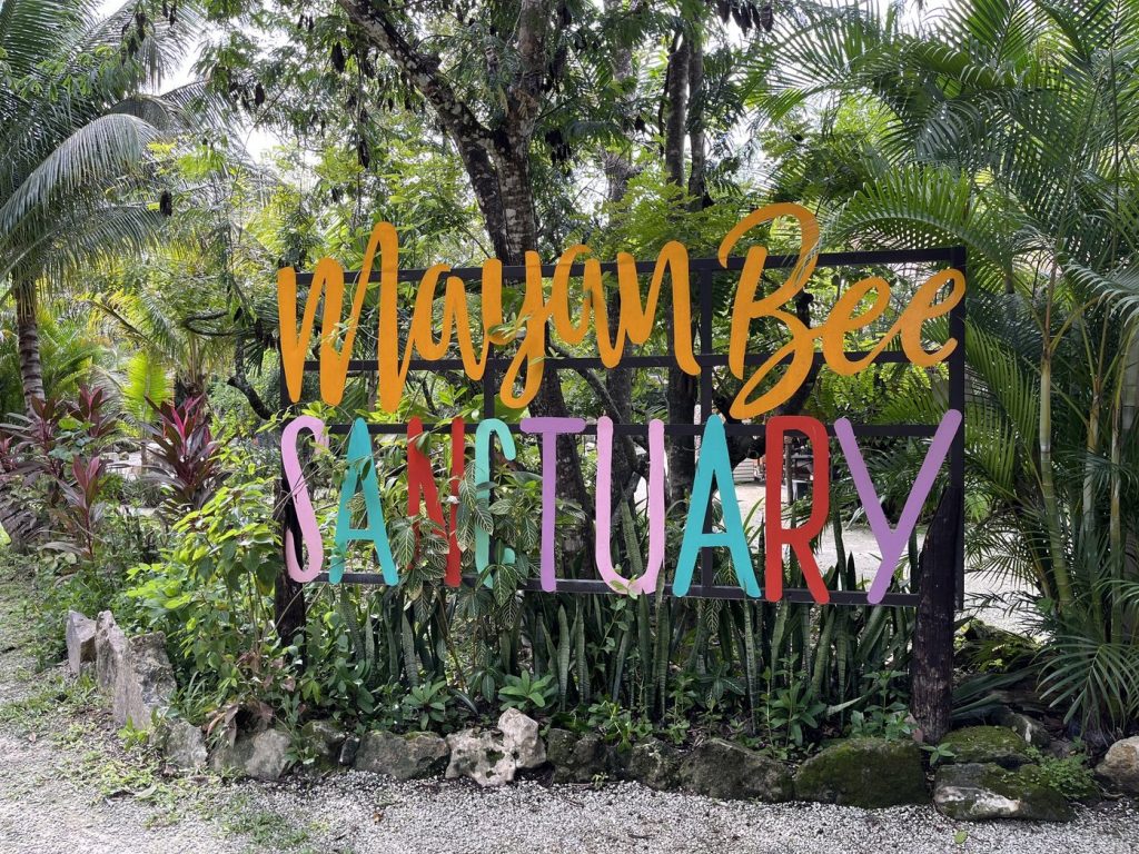 Mayan Bee Sanctuary - Cozumel