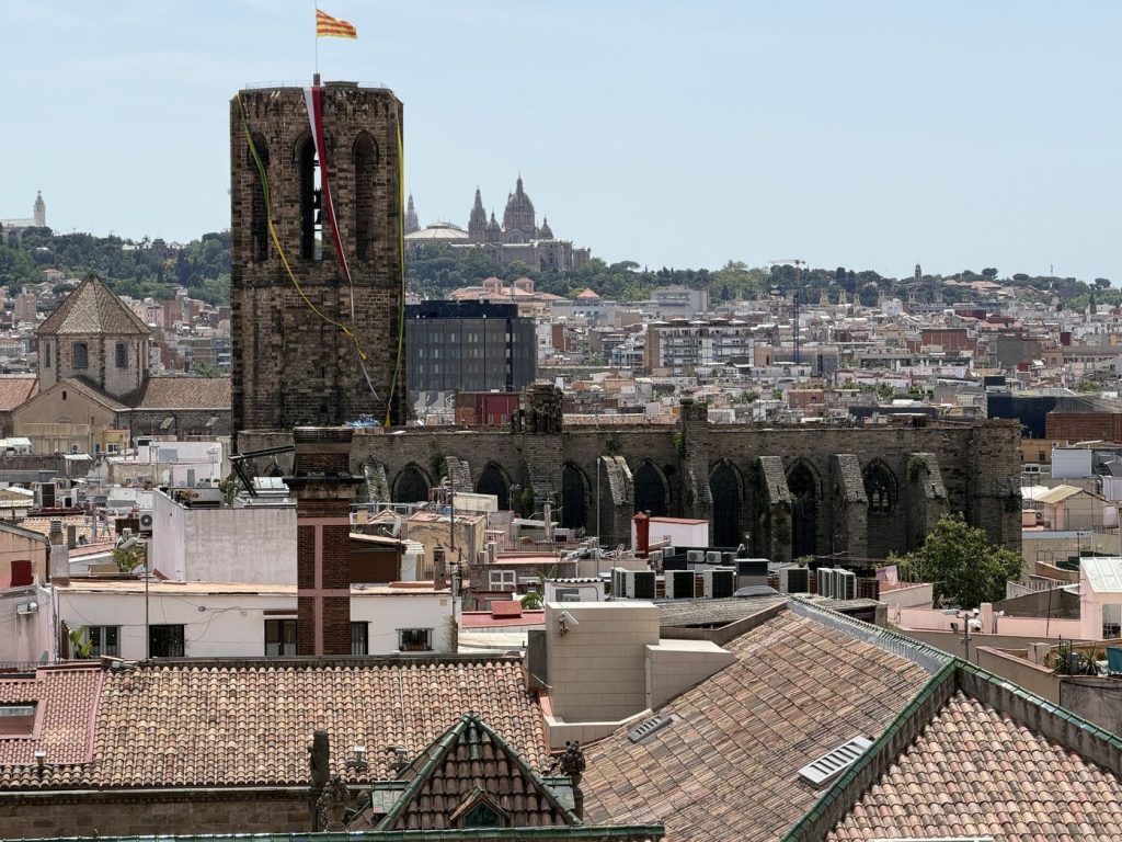 Basílica de Santa Maria del Pi & Montjuïc Hill from Cathedral of Barcelona