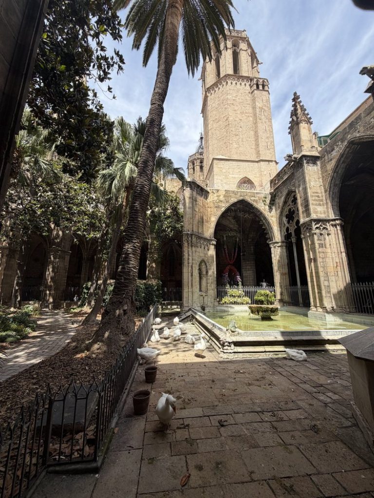 Cloister Garden & 13 Geese in Cathedral of Barcelona