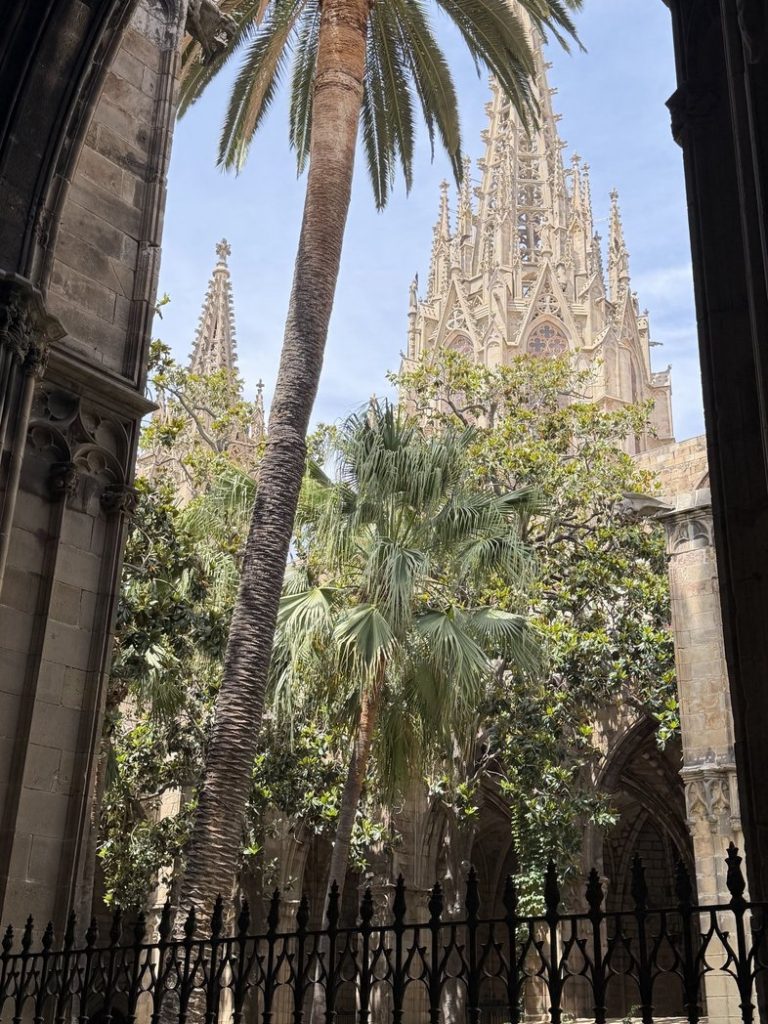View from Cloister in Cathedral of Barcelona