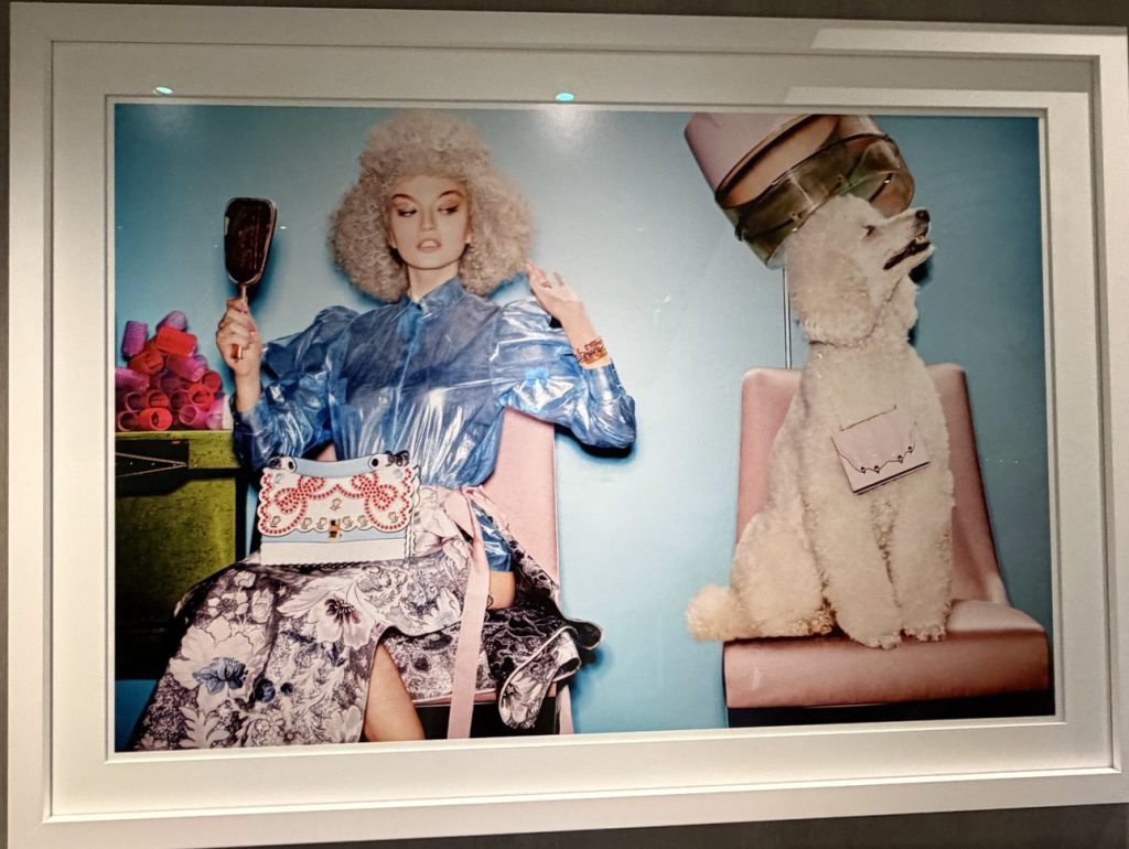 Celebrity Xcel Poodle Art