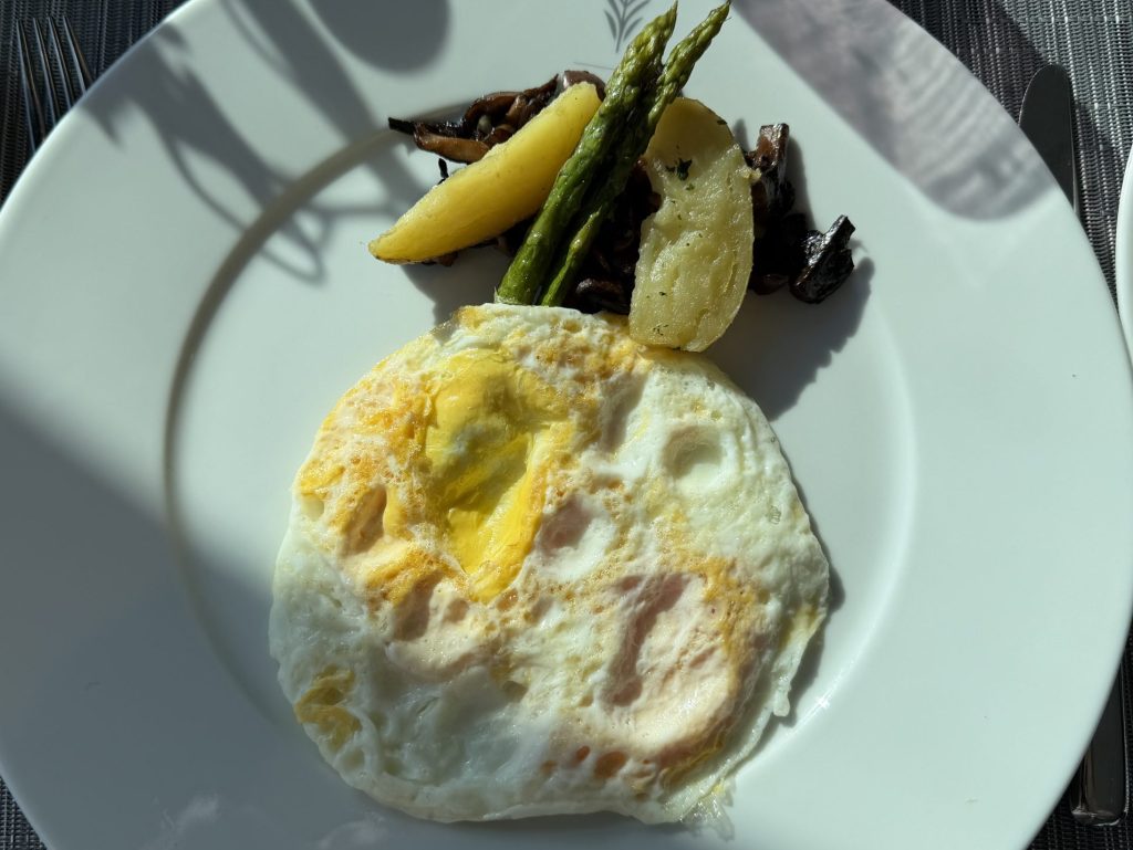Eggs @ Luminae - Day 6
